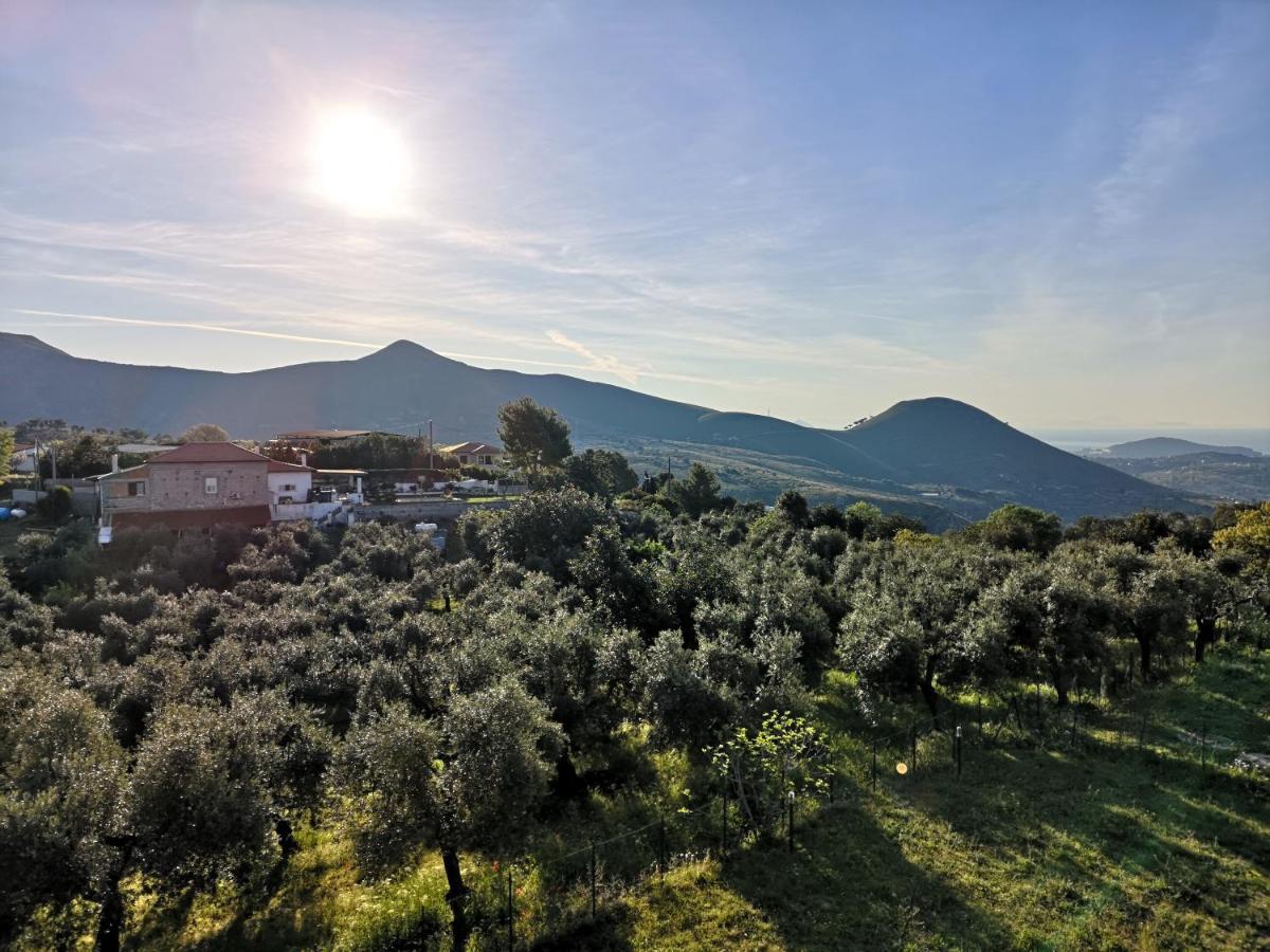 La Rosmarina. Il Tuo Rifugio Nella Natura Villa Итри Екстериор снимка